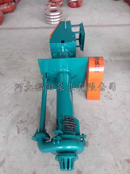 SP(R)���{��