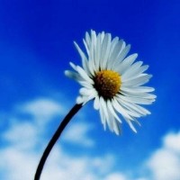 震惊鸿众银国际不正规！老师直播喊单骗局揭露！揭露亏损真相内幕