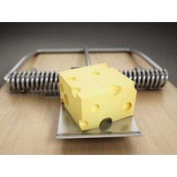 Admins亏损怎么办？Admins被骗追回资金全过程！