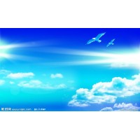 撮合网是正规的平台？撮合宝被骗者揭开亏损真相