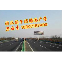 湖北武汉创意墙体店招广告，湖北武汉户外广告牌安装，武汉军运会