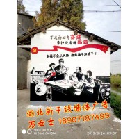 黄石乡村文化墙彩绘、黄石3D画立体地面彩绘、黄石店招墙体公司
