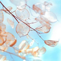 TEMICOIN正规吗？亏损惨重内幕大曝光！本人亲身经历揭露
