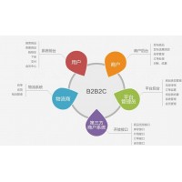 到底什么是B2B2C呢？