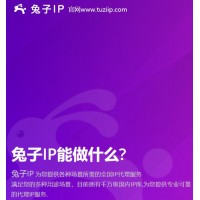 高质量代理IP首选兔子动态IP满足对IP的一切业务需求