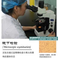 【酸菌OEM|一然生物】吉首|发酵剂牌子|优质供应
