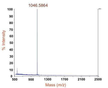 分子量测定研究案例 分子量测定研究案例