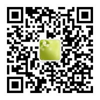 GD Token交易所提币不到账？ 上市会涨吗？ 已解决！