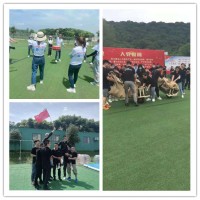 硚口红色引擎选在哪？那个基地快乐爆棚