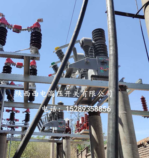 微信图片_20190528114538_副本