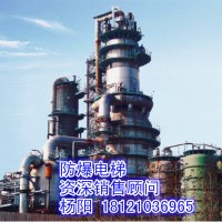 供应湖北省武汉市防爆电梯、煤气柜电梯