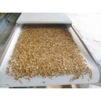 微波黄粉虫膨化干燥设备、食品微波干燥设备
